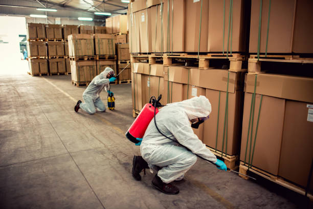 Best Affordable Pest Control Services  in Acres Green, CO