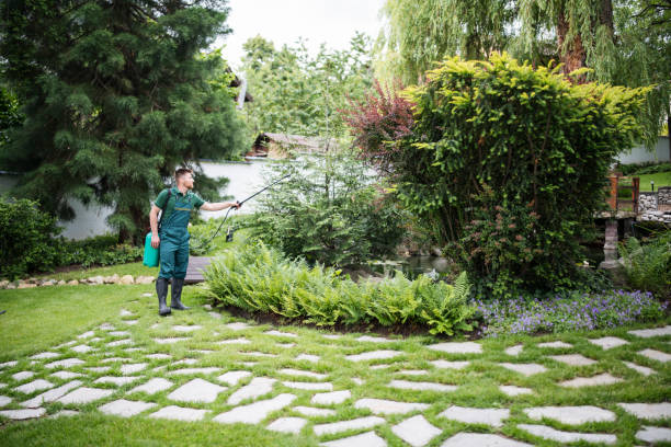 Best Residential Pest Control  in Acres Green, CO