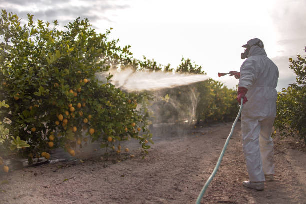 Acres Green, CO Pest Control Company