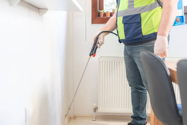 Best Pest Removal Services  in Acres Green, CO
